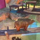 please,,, someone.... send help..... why,.... why is this happening to me