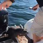 Asking humans for help worked this time!