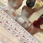 Snow and her friends