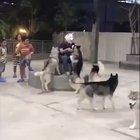 One of us! One of us!