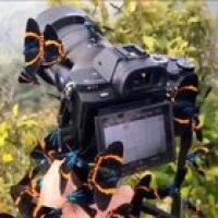 🔥 Photographing in the forest