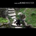 هذه ليست عملية احتيال ولن تحصل على فيروس2015 allah poo