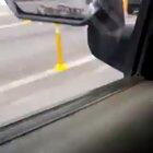 Pipistrela, miá miá miá