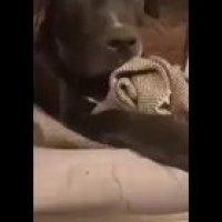 I've never seen that b*tch in my life!