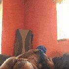 ThebodyXXX Aka Ibodiquin