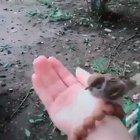 If you love something, set it free..