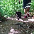 We named our cat Rover cause we knew we'd want him to travel with us. What we didn't know is how much he'd actually end up enjoying getting out as well. Best adventure buddy.