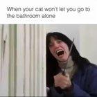 Anyone else have this problem ?