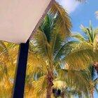 Tib old bitties 🔥