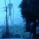 Siren head (not by me)