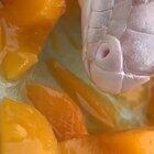 A Blue Tongue Lizard licking on some mangoes 🔥