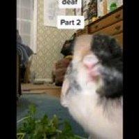 If he wasn't before, he is now for sure