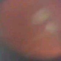 Beautifully boiled egg...