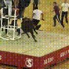 HMFT after this bull pile-drives me