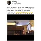 Practicing his death drop