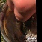 A fish in a fish in a fish