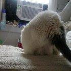 It sounds like she didn't stick that landing.