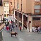 HMFT after I try and mess around with a bull