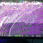 Happened while watching a friend stream on discord