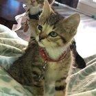 My finger gun had more power than I expected