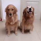 I want a perfect picture.