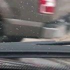 What in the hell is this lady doing