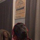 When will my husband return from war?