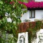 A new instrument is born