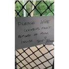 This is the god of good bois and a clean good boi