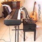 Dr. Cate - still meow!