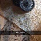 Do not underestimate the power of a spinning razor scooter.