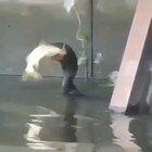 WTF this throat can really stretch