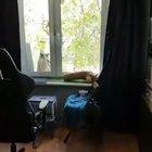 Dear cameraman, we regret to inform you that you have been accepted into Hogwarts school of wizardry and witchcraft.