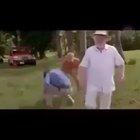 Welcome to Jurassic Park