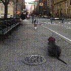 Dog sees best friend after a week