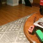 CaT FaLLs sO HaRD He SpLITs iN Two!! GraPHIC!