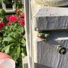 Heat index was 110 degrees so we offered him a cold drink. He went for a full body soak instead