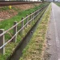 The world is changing