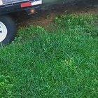 DeuxChad buys a new car