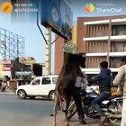 The one that loves you hurts you more