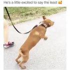 If you are happy, then show it like this...