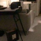 My boyfriend ferociously attacked by a monster duck.