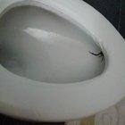 I sat on that toilet for about 10 or 15 minutes. After I flushed I noticed this.