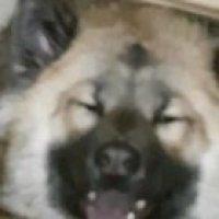 Heard some chewing noices under my bed... Look who's stuck in there after chewing on my bed