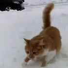 С первым снегом 😁