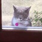 Give them the ol’ razzle dazzle...