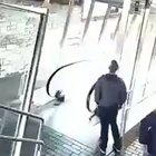 Never listen to your friends