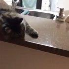 I took this from r/gifs