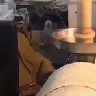 Dog getting down to the beat