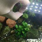 My fingers are like swimming hoops